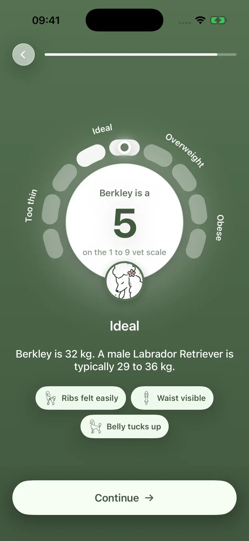 Bowlmind app screen: Berkley is a 5 on the 1 to 9 vet body condition scale, Ideal. Berkley is 32 kg; a male Labrador Retriever is typically 29 to 36 kg.